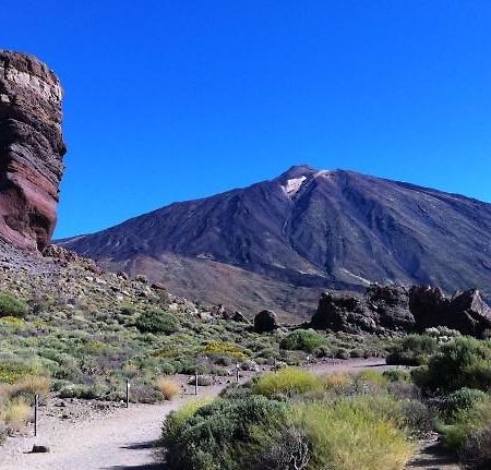 Marody Tenerife House Ель-Медано Екстер'єр фото