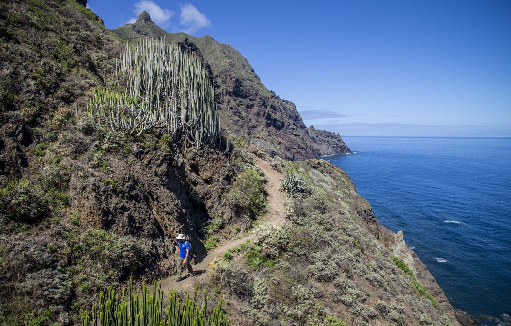 Marody Tenerife House Ель-Медано Екстер'єр фото