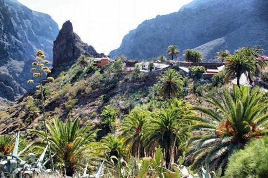 Marody Tenerife House Ель-Медано Екстер'єр фото